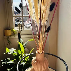 Anastasia Appartement
